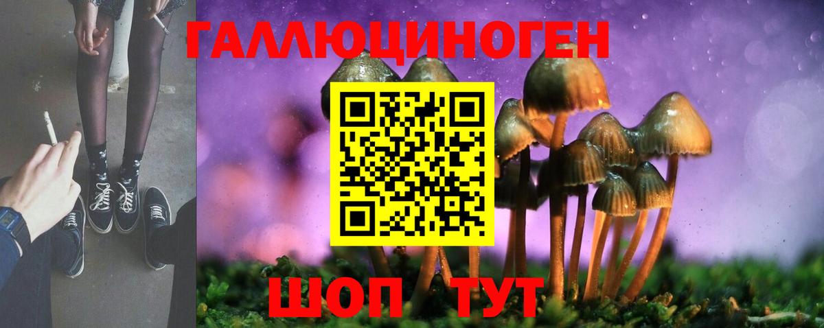 Псилоцибиновые грибы мицелий Сланцы
